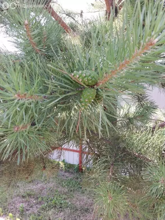 Дом в Свердловская область, Каменский муниципальный округ, СТ ... - Фото 2