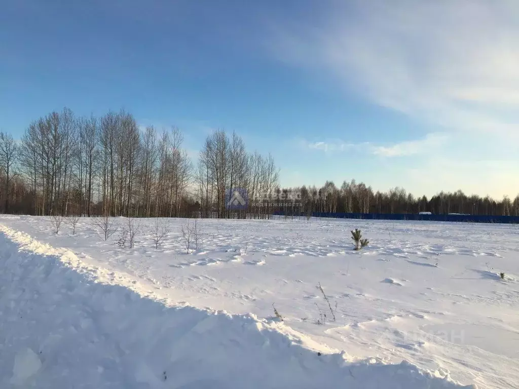 Участок в Тюменская область, Тюменский район, д. Малиновка, Вольные ... - Фото 1