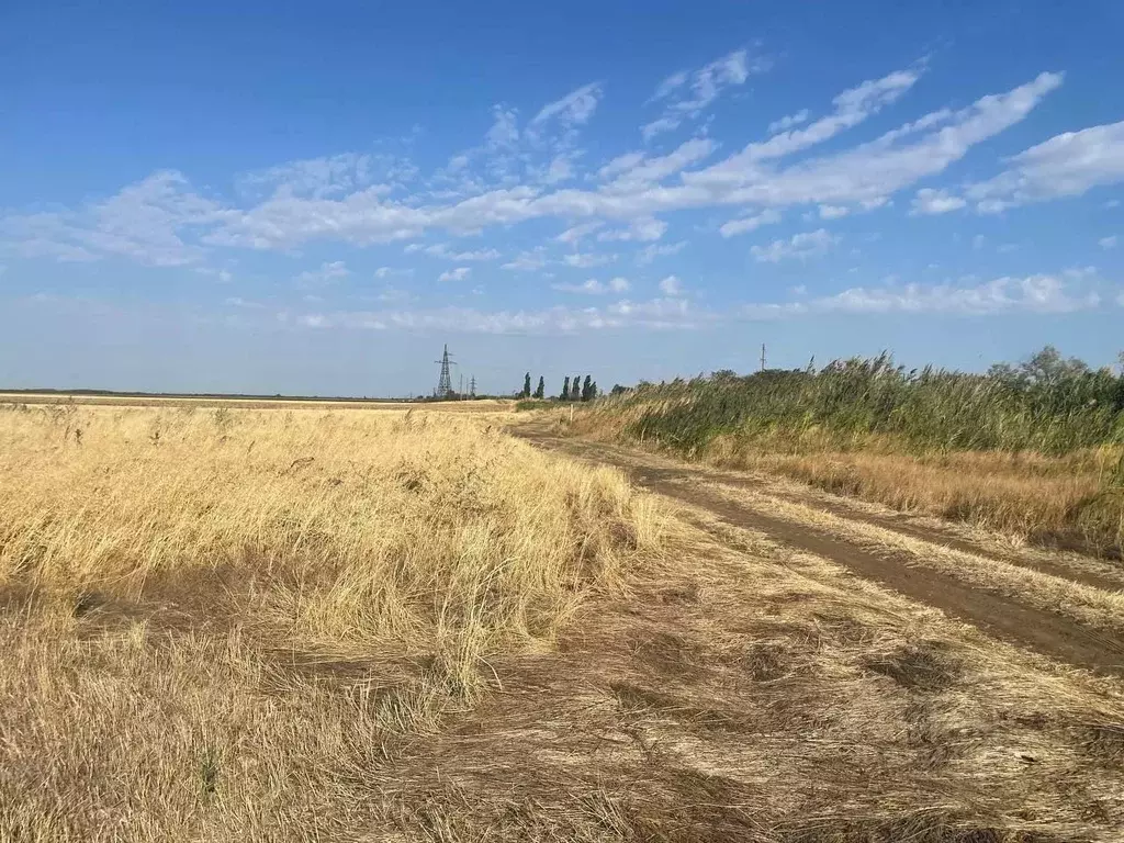 Участок в Крым, Кировский район, с. Журавки ул. Ленина (6.0 га.) - Фото 1