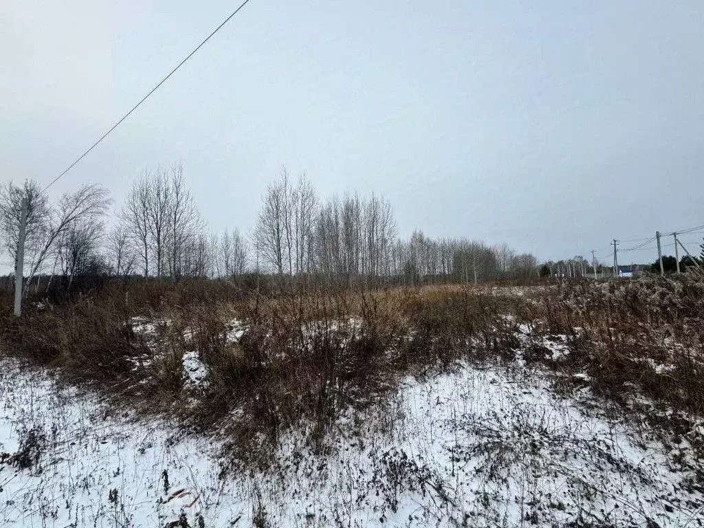 Участок в Тюменская область, Нижнетавдинский муниципальный округ, ... - Фото 2