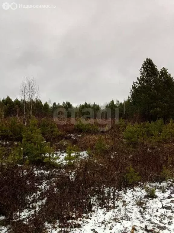 Участок в Талица, улица Луначарского (12.06 м) - Фото 2
