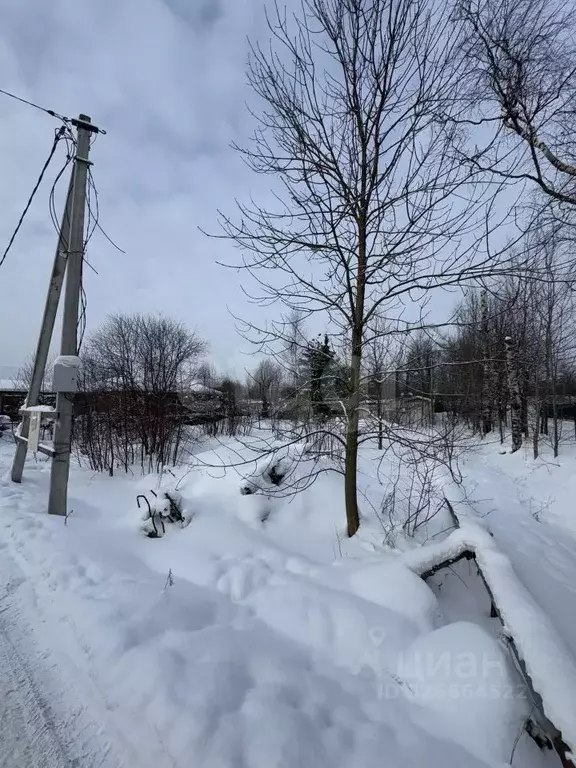 Участок в Санкт-Петербург Педиатр СНТ, 2-я линия (6.21 сот.) - Фото 1