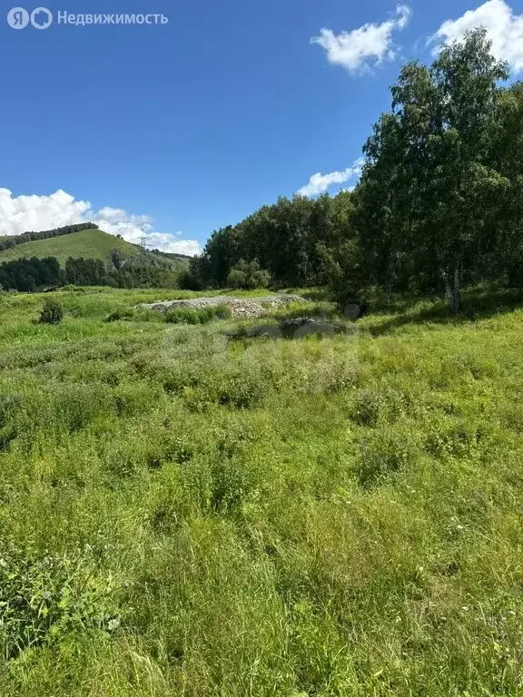 Участок в Алтайский район, село Нижнекаянча (20 м) - Фото 1