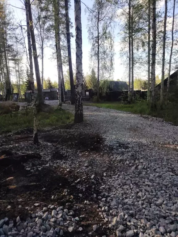 Участок в Свердловская область, Екатеринбург Глобус СНТ, 74 (15.0 ... - Фото 0
