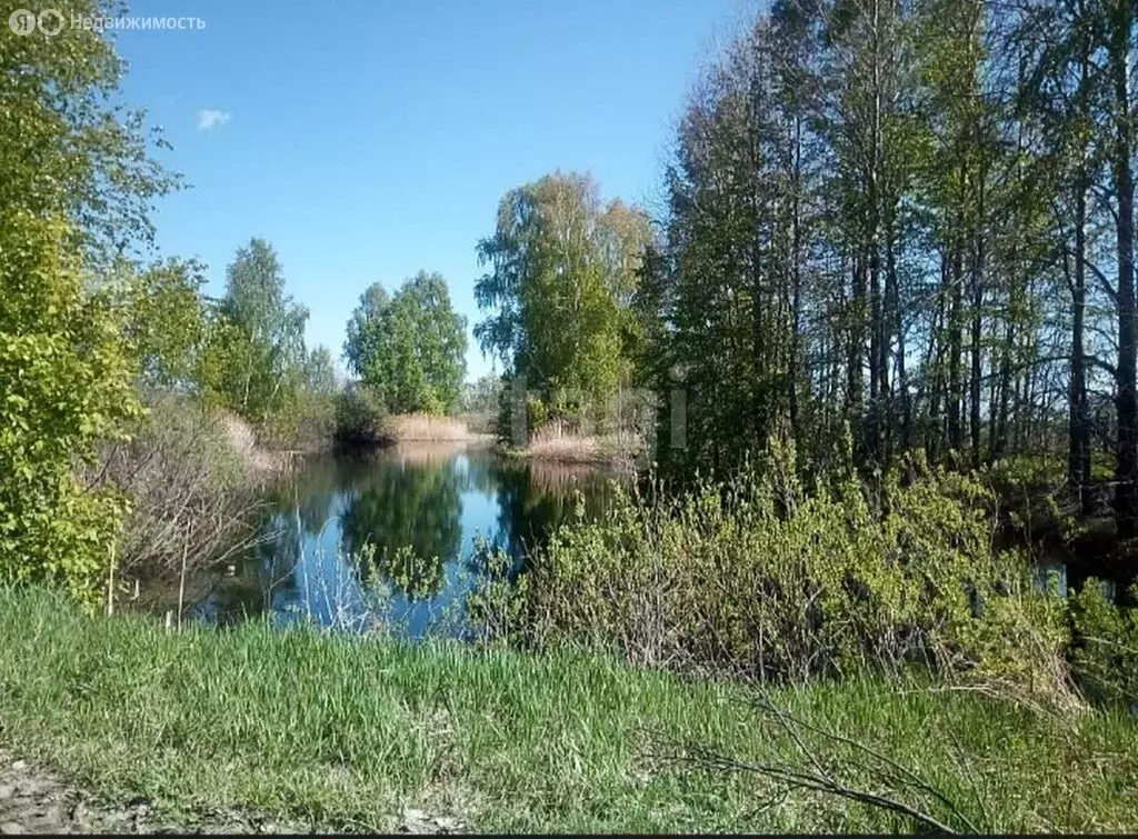 Дом в Тюменская область, Тобольский муниципальный округ, деревня Алга ... - Фото 2