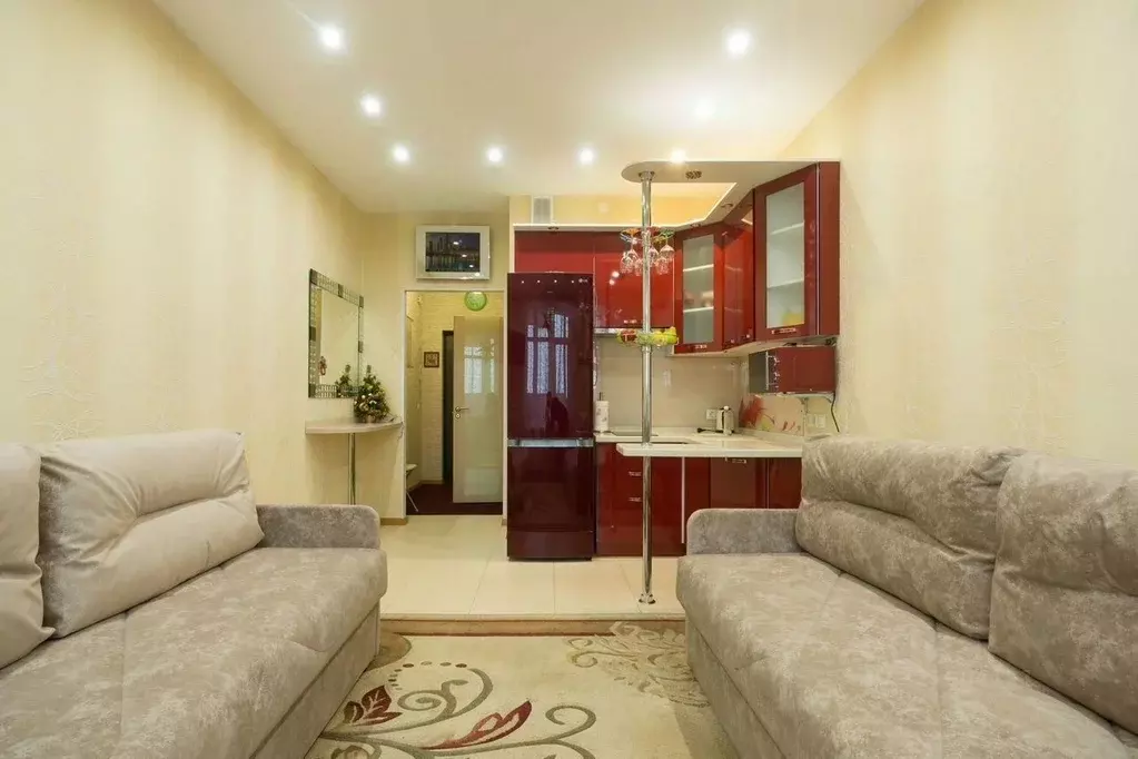 Студия Санкт-Петербург просп. Народного ополчения, 10 (28.0 м) - Фото 0