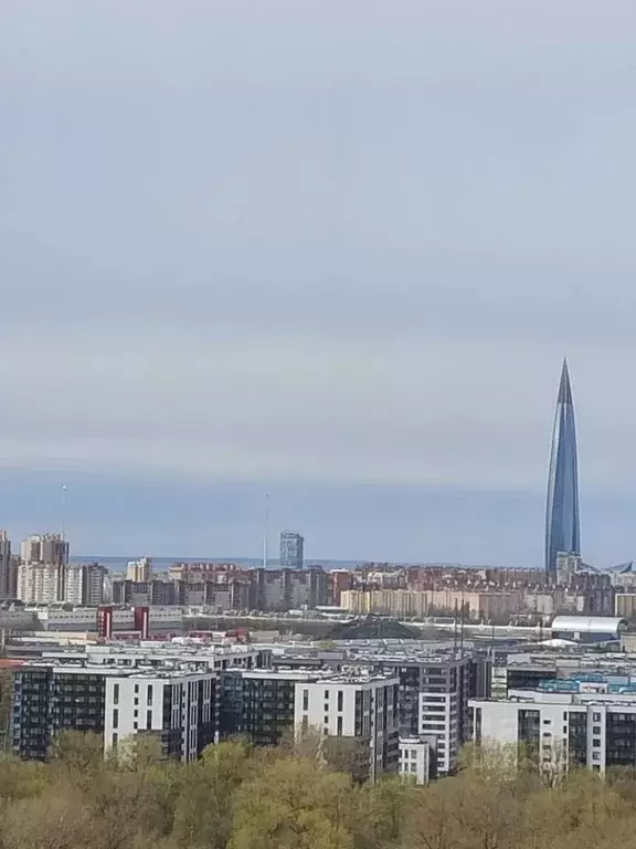 Студия Санкт-Петербург Полевая Сабировская ул., 47к1 (30.1 м) - Фото 2