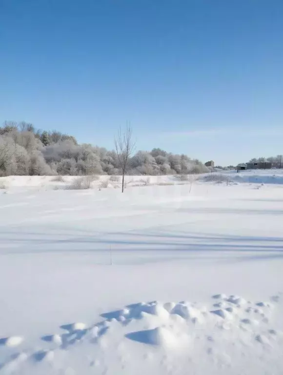 Участок в Тульская область, Тула городской округ, д. Малевка ул. ... - Фото 1