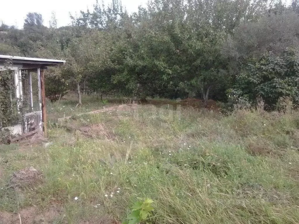 Участок в Ростовская область, Ростов-на-Дону Надежда СТ,  (6.0 сот.) - Фото 0