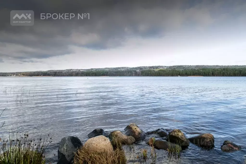 Участок в Ленинградская область, Выборгский район, Рощинское городское ... - Фото 2