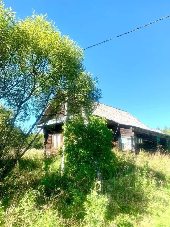 Дом в Тверская область, Рамешковский муниципальный округ, д. Куликово  ... - Фото 1