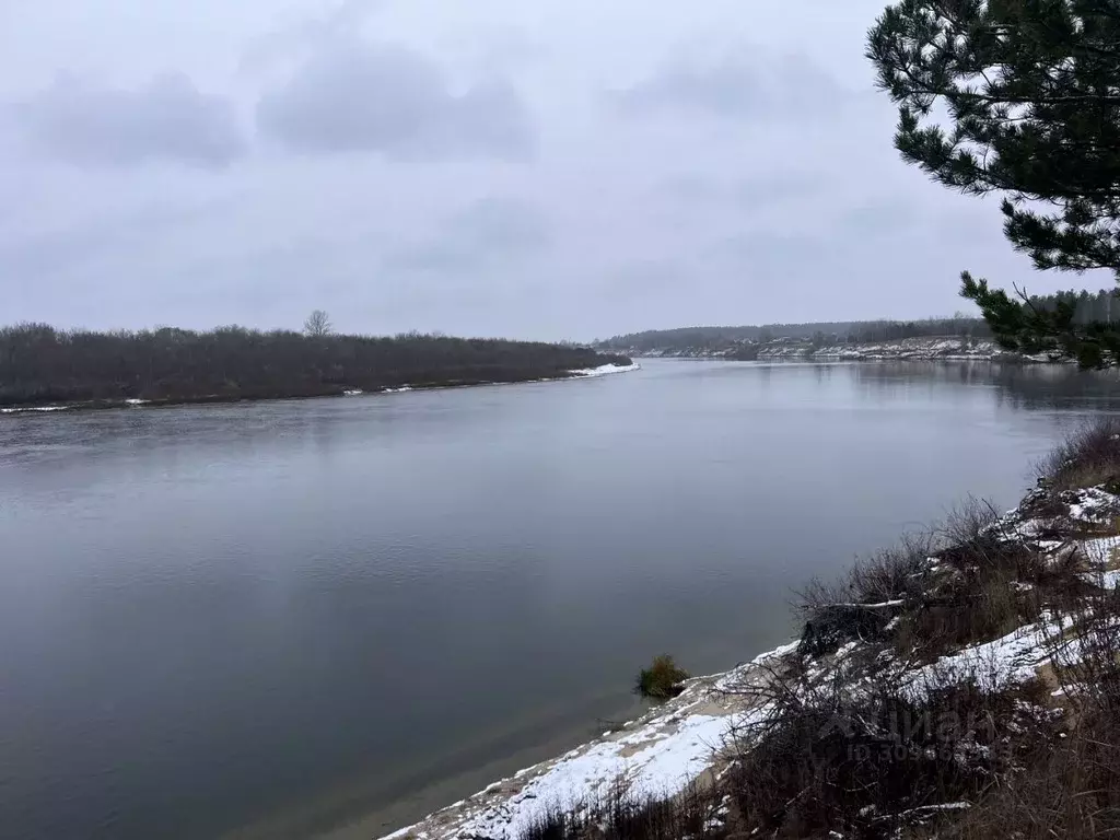Участок в Рязанская область, Шиловский район, Борковское с/пос  (730.0 ... - Фото 2