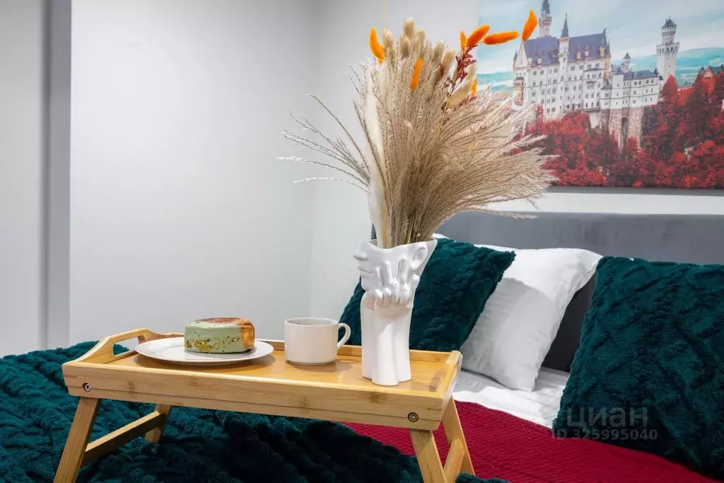 Студия Краснодарский край, Сочи Центральный мкр, ул. Навагинская, 11Б ... - Фото 2