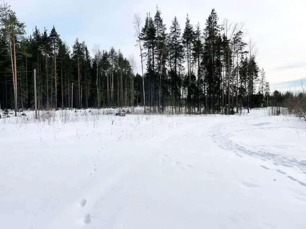 Участок в Коми, Сыктывкар городской округ, Краснозатонский пгт ул. ... - Фото 0