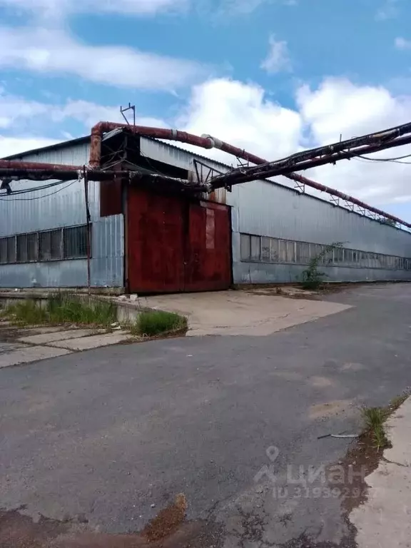 Склад в Санкт-Петербург ул. 3-я Конная Лахта, 41 (1000 м) - Фото 0