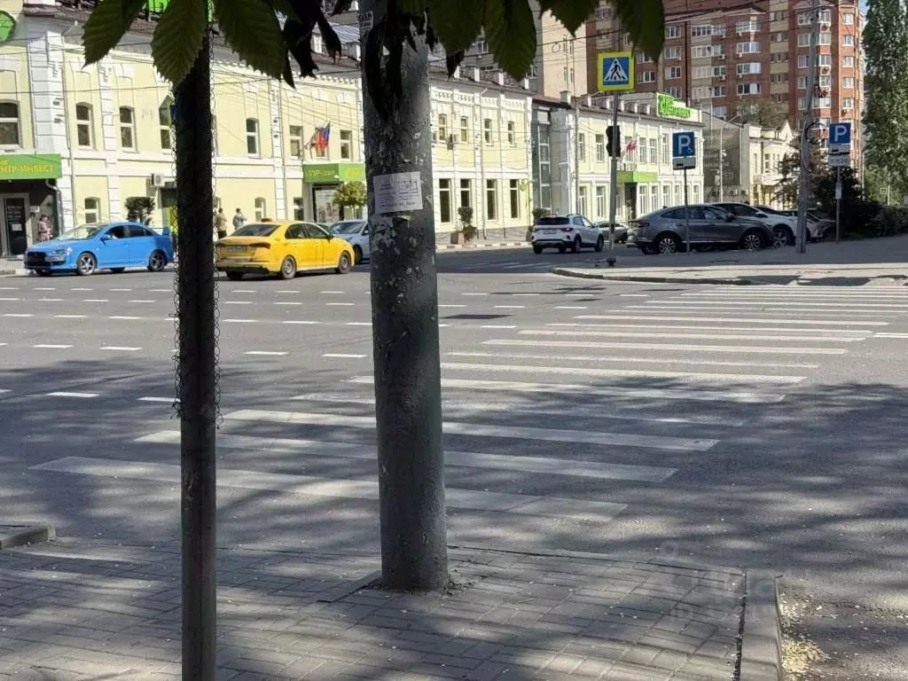 Торговая площадь в Ростовская область, Ростов-на-Дону просп. Соколова, ... - Фото 1