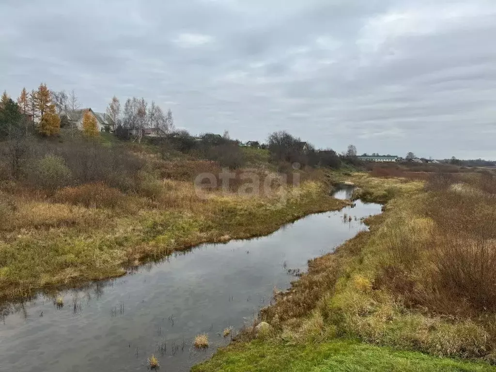Участок в Костромская область, Красносельский район, Шолоховское ... - Фото 1