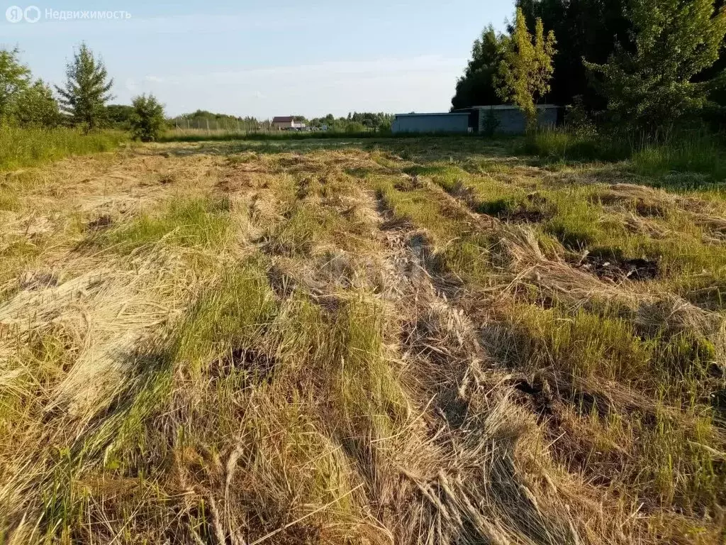 Участок в Орловский муниципальный округ, село Лаврово (24 м) - Фото 1