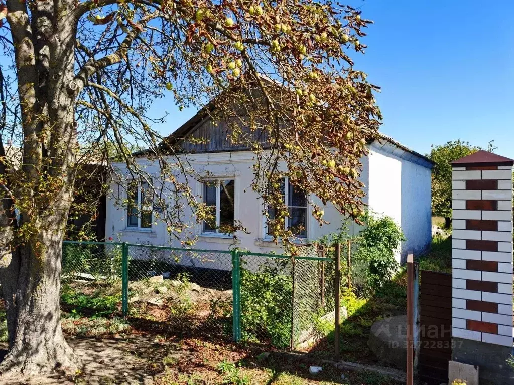 Дом в Краснодарский край, Анапа муниципальный округ, с. Бужор ул. ... - Фото 1