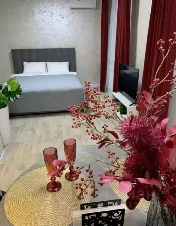 Студия Амурская область, Благовещенск ул. Шимановского, 5 (30.0 м) - Фото 1