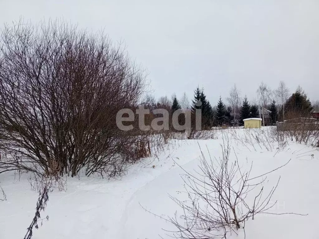 Участок в Костромская область, Нерехта пер. Фадеева (10.0 сот.) - Фото 1