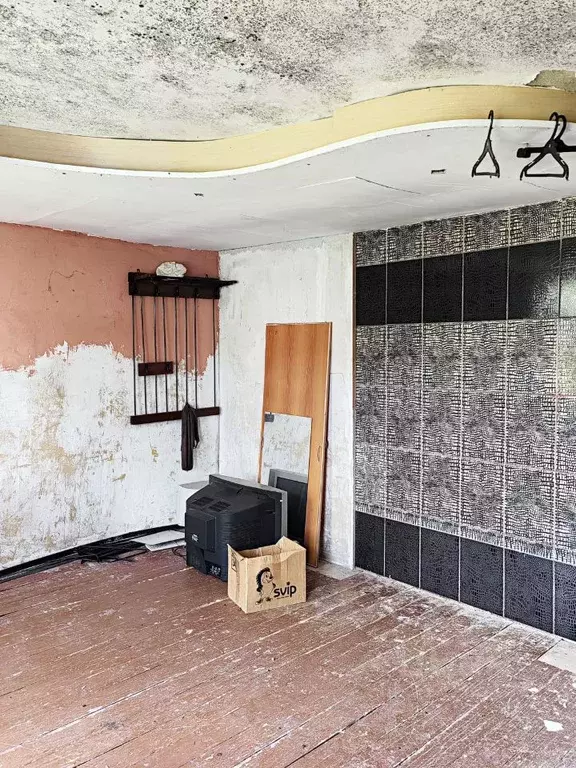 1-к кв. Владимирская область, Камешковский муниципальный округ, с. ... - Фото 2