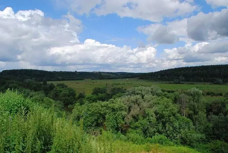 Участок в Московская область, Красногорск городской округ, с. ... - Фото 2