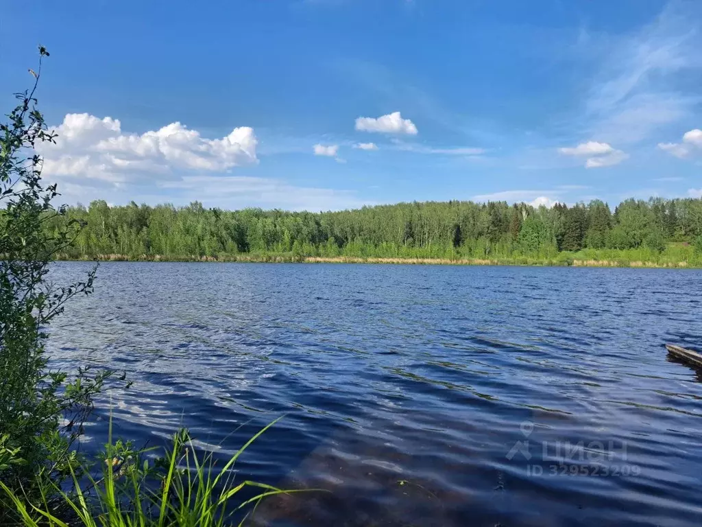 Участок в Московская область, Дмитровский муниципальный округ, д. ... - Фото 1