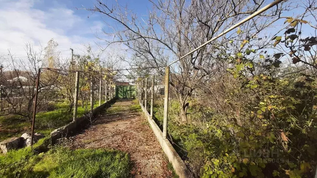 Дом в Крым, Кировский район, с. Яркое Поле ул. Шевченко (41 м) - Фото 1
