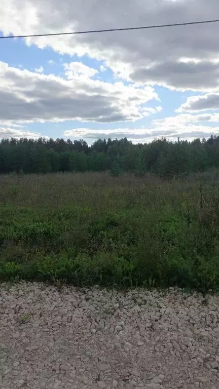 Участок в Кировская область, Киров городской округ, д. Олинцы ул. ... - Фото 1