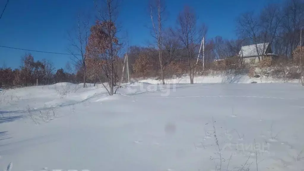 Участок в Амурская область, Благовещенск Амурэнерго СТ, 8 (11.0 сот.) - Фото 1