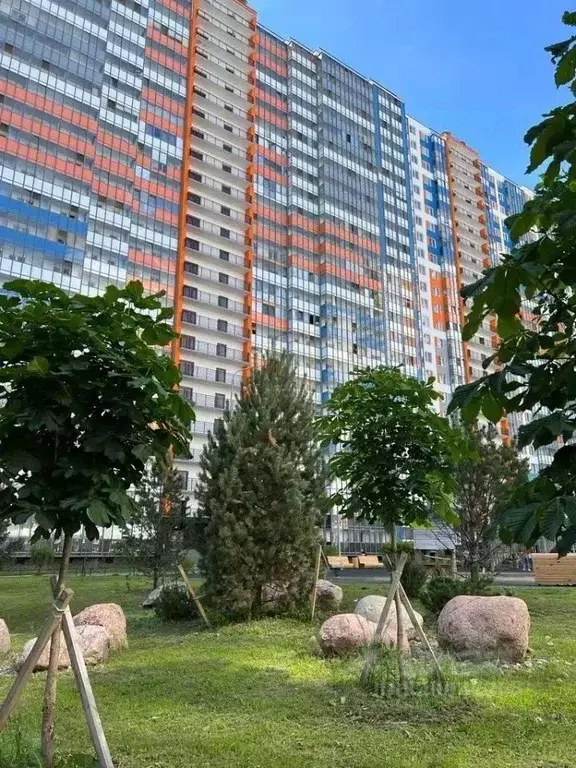 Студия Санкт-Петербург ул. Плесецкая, 10 (35.0 м) - Фото 1