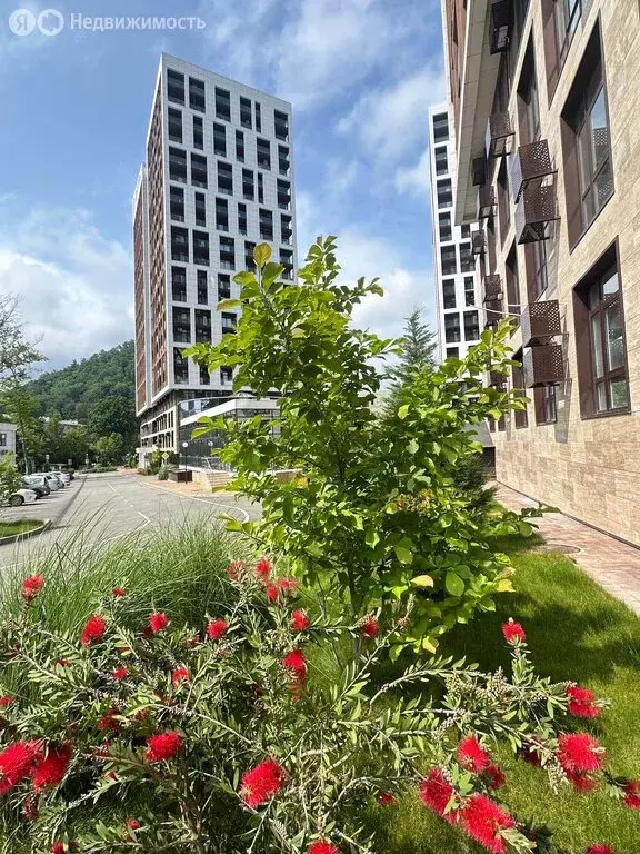 2-комнатная квартира: посёлок городского типа Дагомыс, Батумское ... - Фото 2