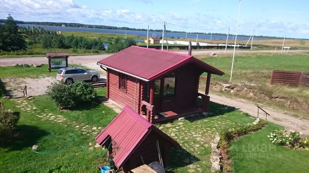 Участок в Псковская область, Гдовский район, Спицинская волость, ... - Фото 0