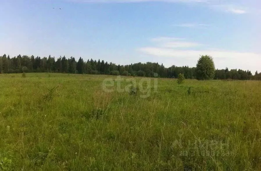 Участок в Тульская область, Тула городской округ, д. Натальинка  ... - Фото 0