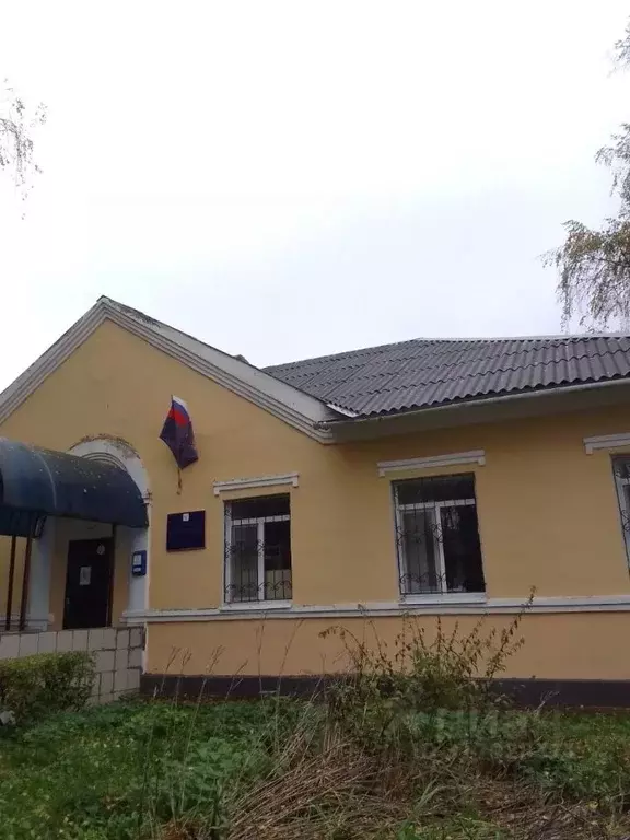 Помещение свободного назначения в Липецкая область, с. Становое ул. ... - Фото 0