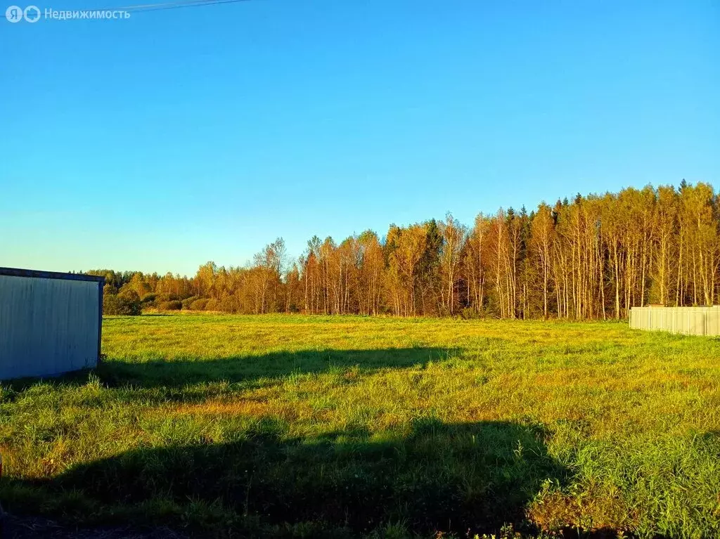 Участок в Московская область, муниципальный округ Истра, деревня ... - Фото 1