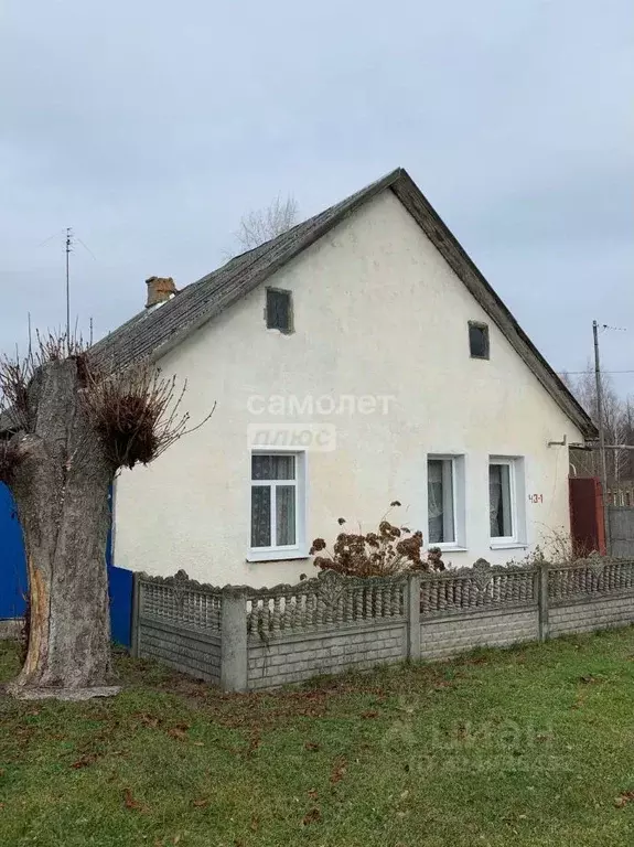 Дом в Брянская область, Суземка рп ул. Луговая (36 м) - Фото 1