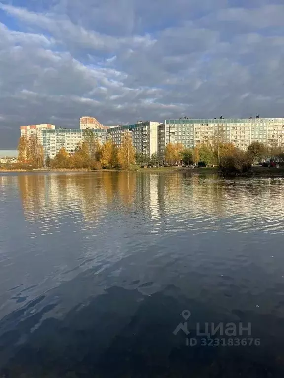 1-к кв. Ленинградская область, Всеволожский район, д. Новое Девяткино ... - Фото 1