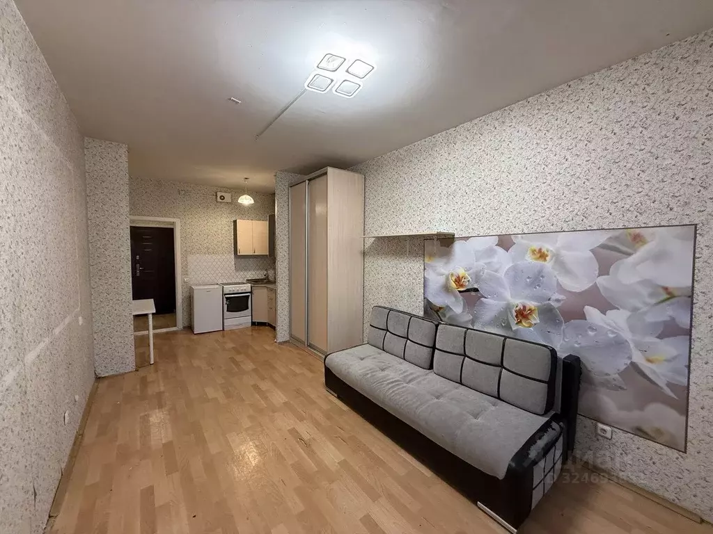 Студия Санкт-Петербург просп. Солидарности, 9к3 (25.5 м) - Фото 1