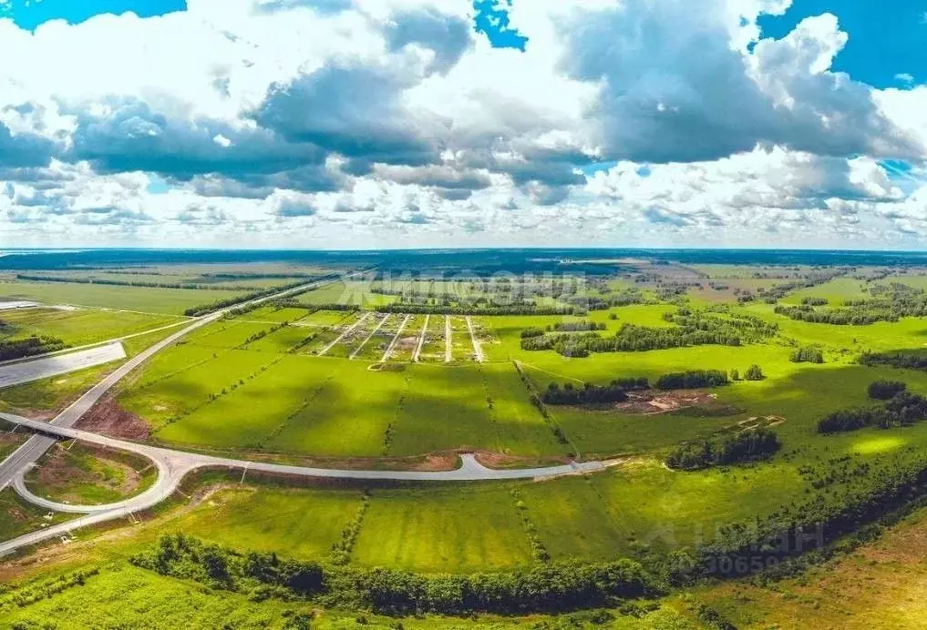 Участок в Новосибирская область, Новосибирский район, Сибирские ... - Фото 0