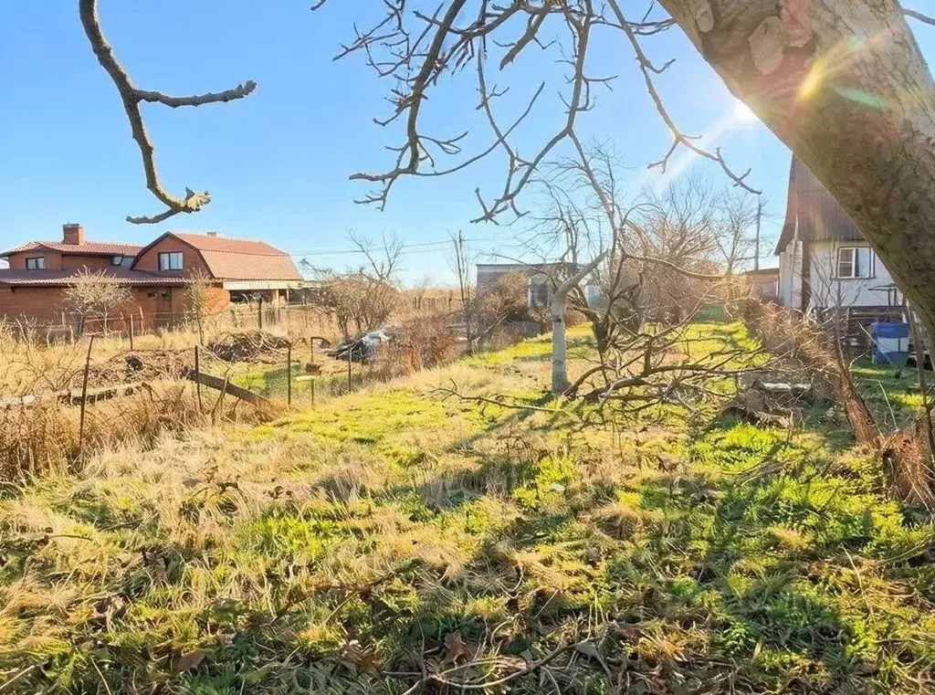 Участок в Краснодарский край, Темрюк ул. Ветеранов (4.5 сот.) - Фото 2