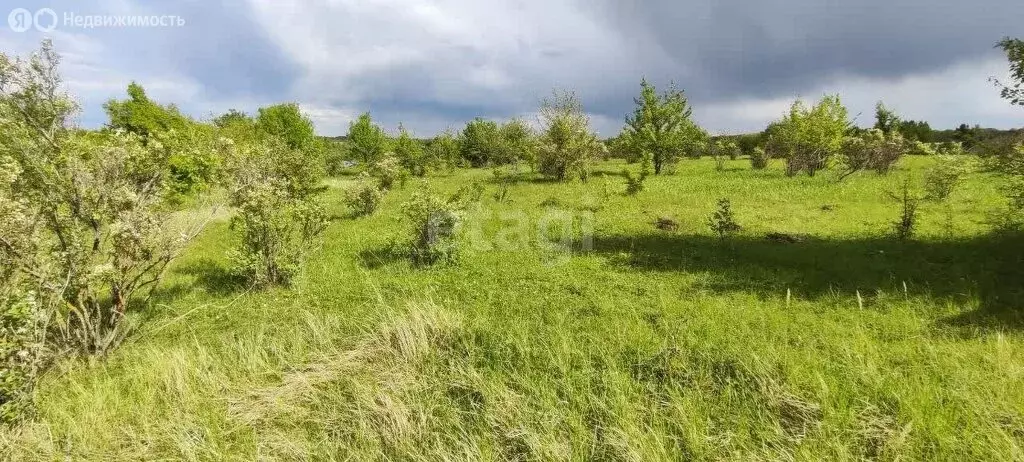 Участок в Рамонский район, Русскогвоздёвское сельское поселение, село ... - Фото 1
