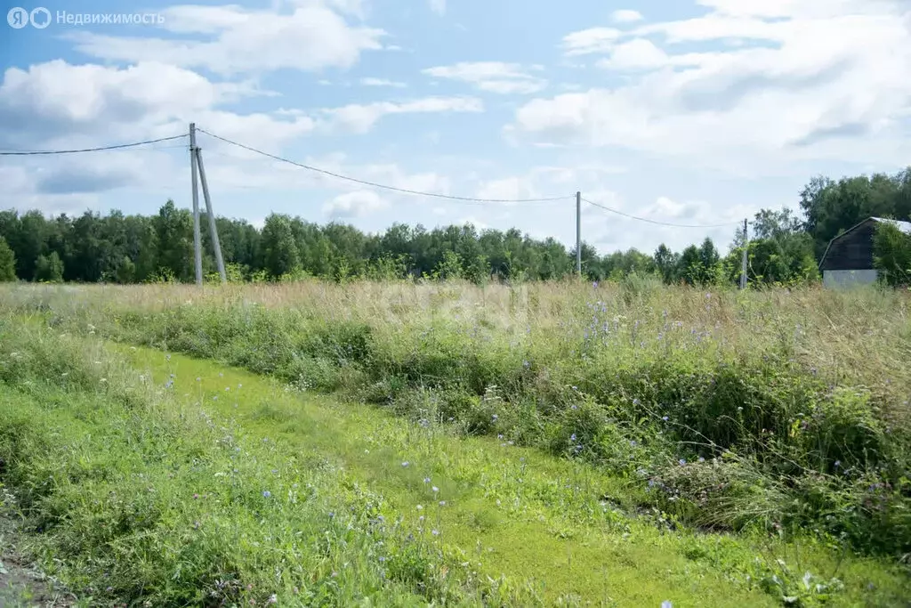 Участок в Искитимский район, село Морозово (10 м) - Фото 0