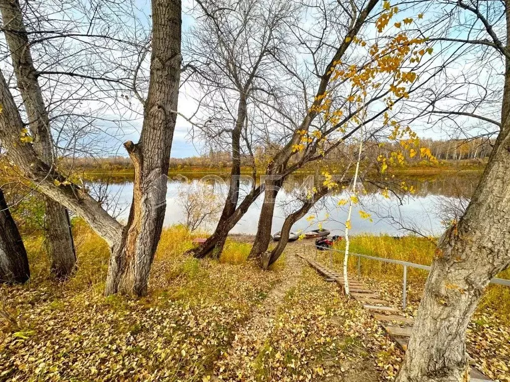 Участок в Тюменская область, Тюменский муниципальный округ, д. Речкина ... - Фото 2
