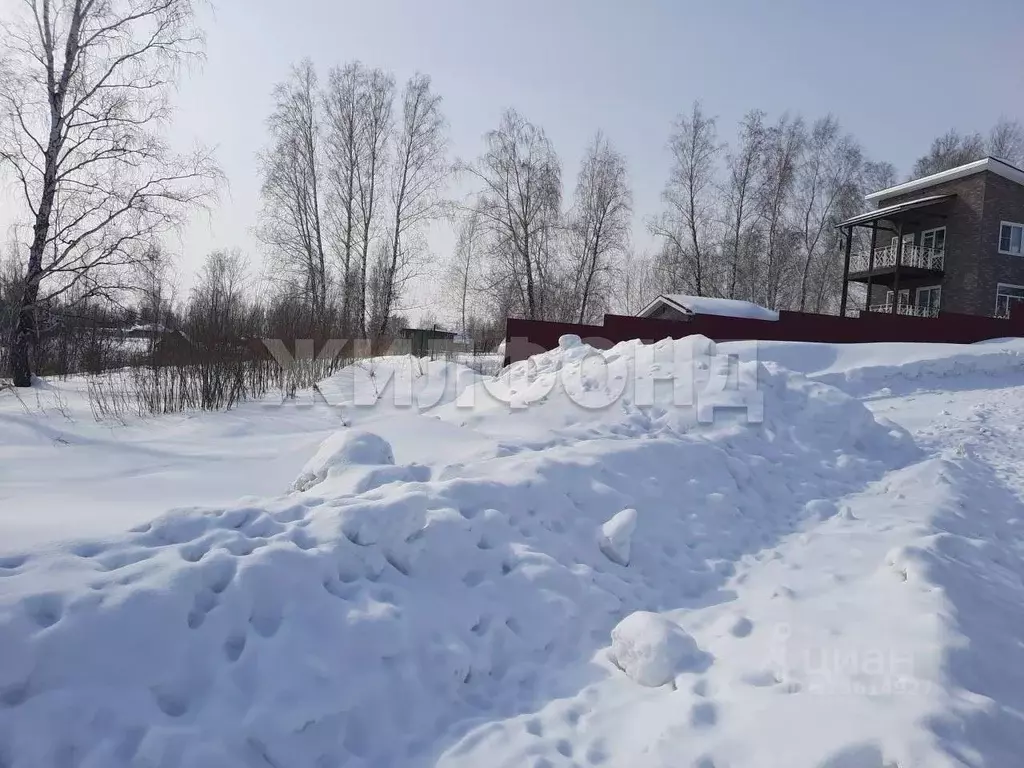 Участок в Новосибирская область, Новосибирский район, Каменский ... - Фото 2
