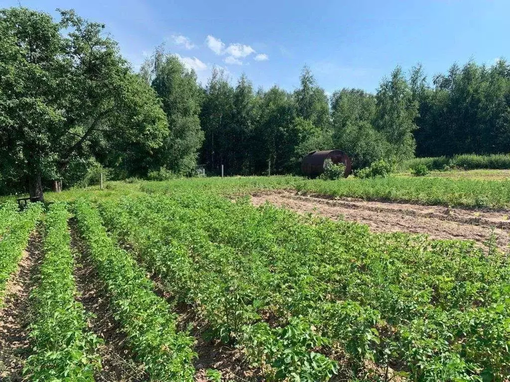 Участок в Костромская область, Костромской район, Середняковское ... - Фото 1