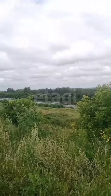 Участок в Тюменская область, Исетский муниципальный округ, село ... - Фото 2