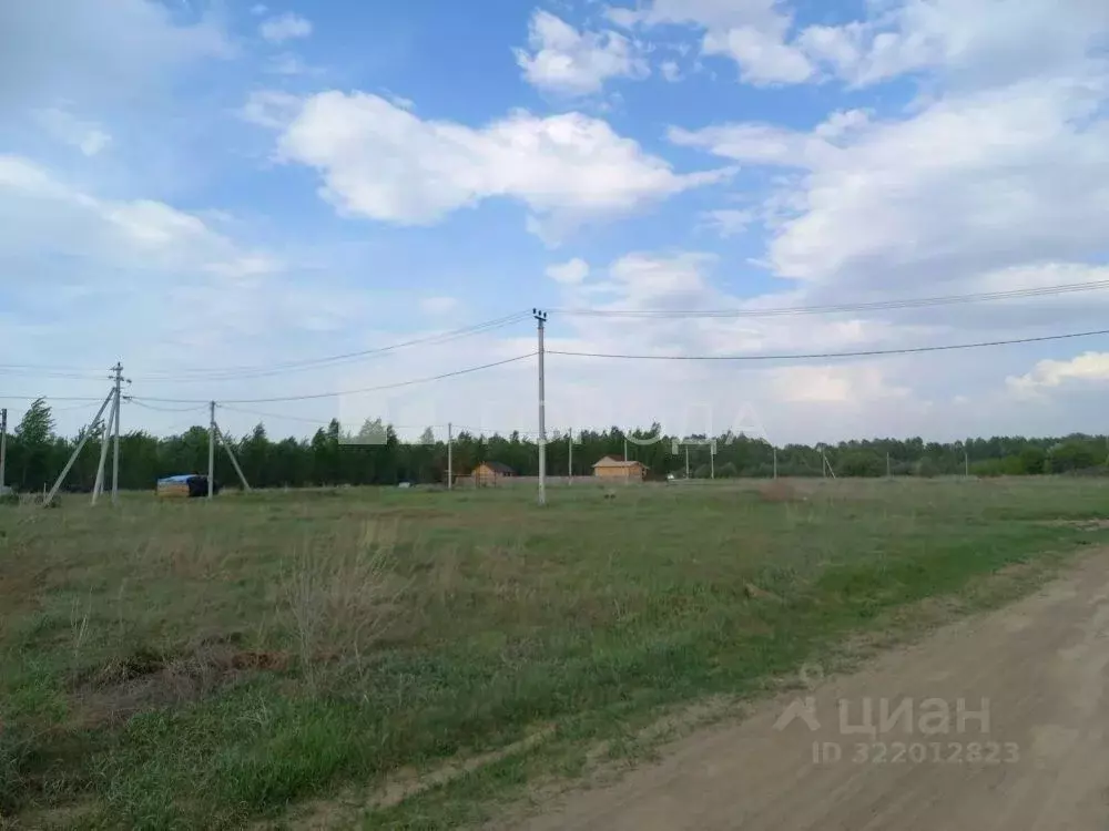 Участок в Алтайский край, Первомайский район, с. Фирсово ул. Акимова ... - Фото 1