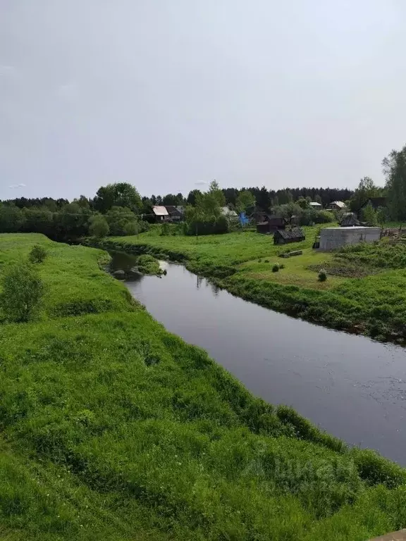 Участок в Ленинградская область, Гатчинский муниципальный округ, д. ... - Фото 1